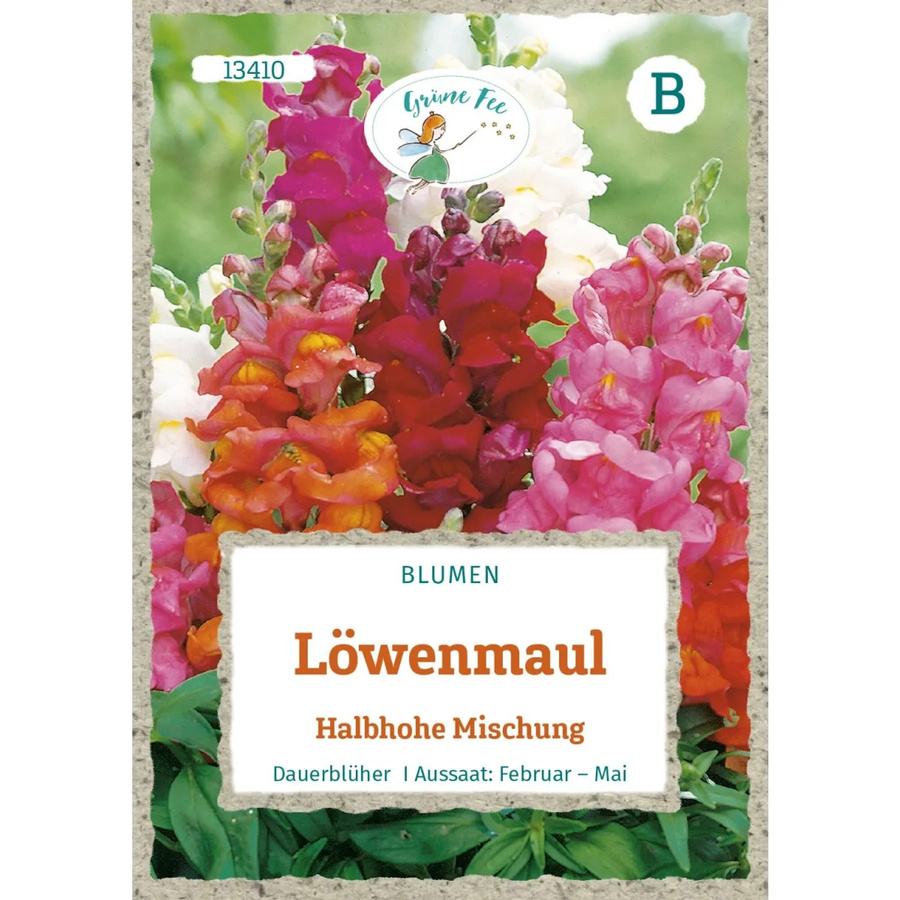 Grüne Fee Löwenmaul Saatgut Halbhohe Mischung für Beet, Kübel und Schnittblumen - Bild 2