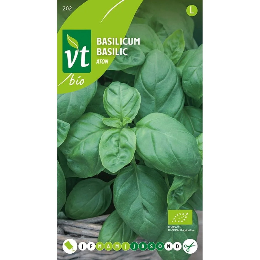 Arborix Basilikum Aton Bio Saatgut mit intensivem Aroma, 0,75 g - Bild 2