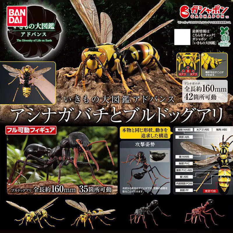 Bandai Gashapon Miniatur-Insektenmodell, Polistes Wespe, Bulldogge, Ameise, Mikro-Maßstab-Figur - Bild 2