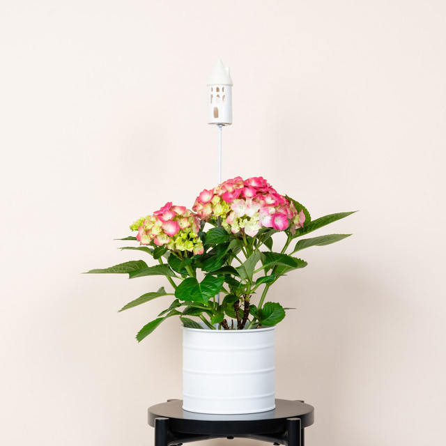 Keramikstecker Turm mit gelbem Dach von BLUME2000 in der Ausführung Tabletop - Bild 1
