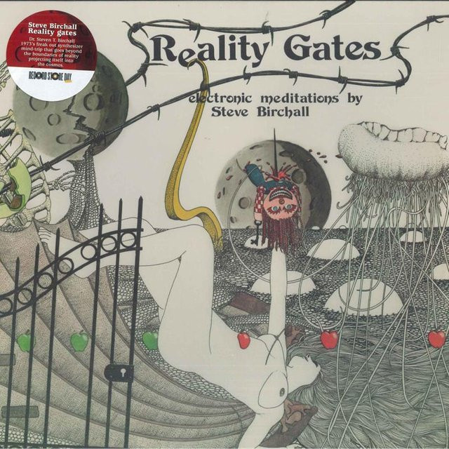Steve Birchall - Reality Gates SV31 Soave 2023 LP-Schallplatte in Grau/Mehrfarbig (Electronic) - Bild 1