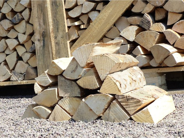 Buche Brennholz Premiumqualität 20 kg - Bild 1