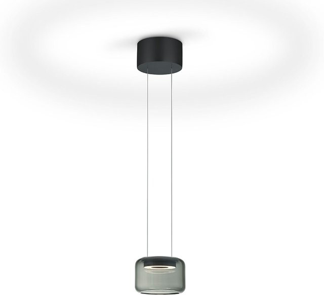 Knapstein Sidra-1 LED-Pendelleuchte in Schwarz mit transparentem Glas, dimmbar und höhenverstellbar - Bild 1