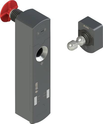 Pizzato Elettrica Sicherheitsschalter NS D4CE1SPK-F41, Betriebsspannung 24 V/DC, Farbe: Grau, B/H/T: 40 x 174 x 46,5 mm - Bild 1