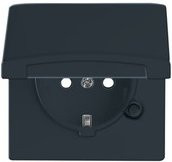 Busch-Jaeger Schuko-Steckdoseneinsatz IP44 Unterputz in Anthrazit oder Schwarz, Breite: 70 mm, Höhe: 62 mm - Bild 1