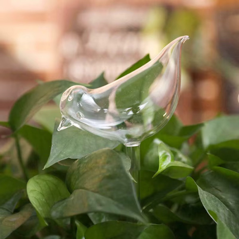 Handgeblasene selbstbewässernde Glaskugeln in Vogelform für Zimmerpflanzen, Farbe: Transparent - Bild 2