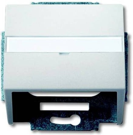 Busch-Jaeger Abdeckung Edelstahl 2CKA001724A4272 in Silber und Weiß - Bild 1