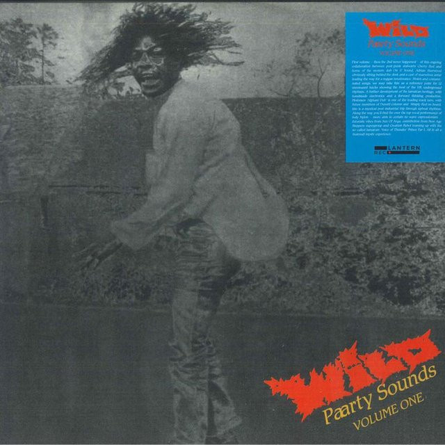 Wild Paarty Sounds, Various, Vinyl/LP, grau - Bild 1