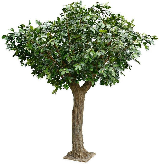 Künstlicher Eichenbaum Fred von artplants in Grün, Höhe: 360 cm - Bild 1