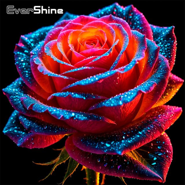 EverShine 5D DIY Diamant-Stickerei Rosenbild mit bunten Strasssteinen, Blumenmosaik Set in Multicolour, B/H: 20 x 20 cm - Bild 1