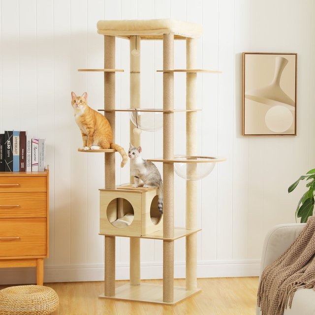 PAWZ Road Mehrstufiger Kratzbaum aus Holz in Beige mit Hängematte und integriertem Spielzeug - Bild 1