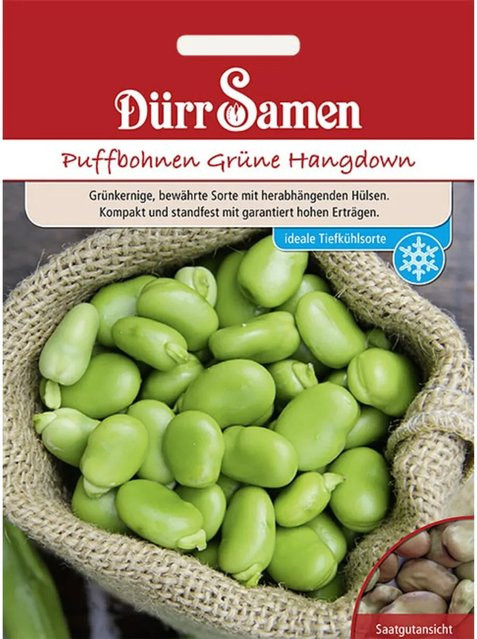 Dürr Puffbohnen Grüne Hangdown Saatgut 35 g - Bild 1