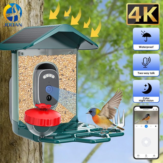 Jooan 4K Solar-Vogelfutterkamera mit 2,4G WLAN, wasserdichte HD-Außenkamera mit Nachtsicht und Vogelarten-Identifizierung - Bild 1