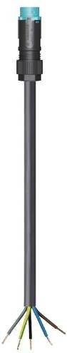 Wieland Electric Anschlussleitung Schwarz - Bild 1