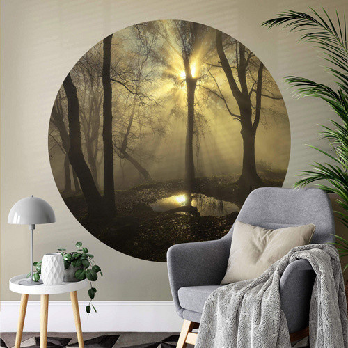K&L Wall Art Vliestapete Cuadrado Wald Lichtung Natur, runde Wandgestaltung in Mehrfarbig und Matt, B/H: 236 x 236 cm - Bild 3