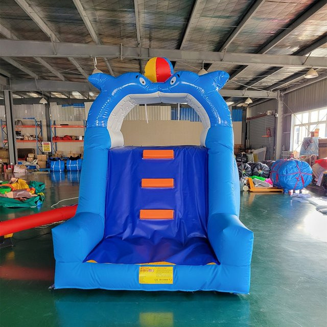 DINGYURUI Aufblasbare Wasserrutsche, Hüpfburg mit Rutsche, PVC - Bild 1