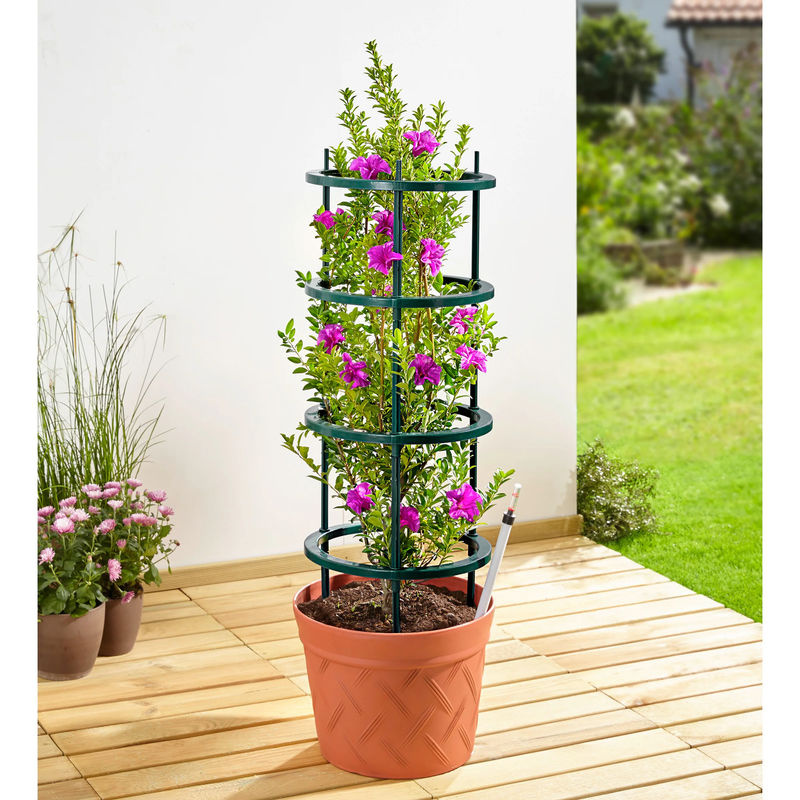 Genialo Tomaten-Pflanztopf 2 in 1 für den Gemüsegarten in Grün, B/T/H: 35,0 x 114,0 x 2,0 cm - Bild 3
