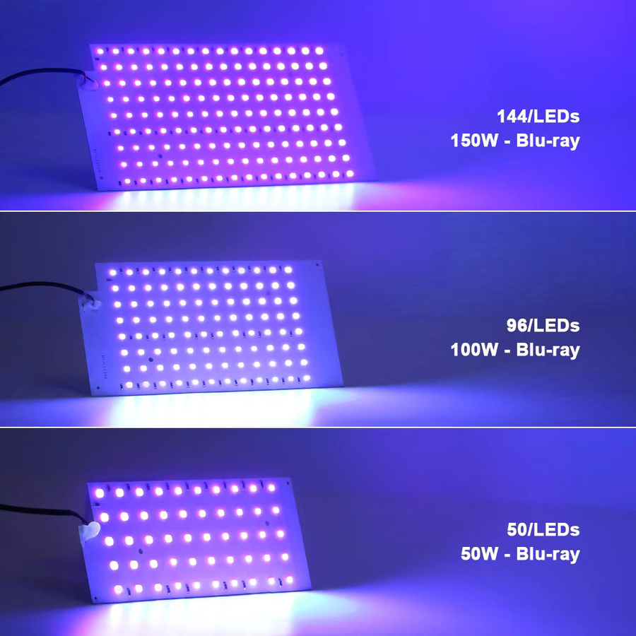 PARKSON UV-Schwarzlicht LED Lampe mit 395nm 400nm Wellenlänge und USB-Anschluss in Weiß - Bild 3