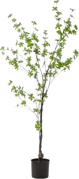 Aplanta Kunstbaum Tropaeolum Speciosum Helga, Höhe: 150 cm - Bild 1