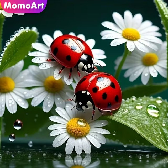 Momoart Diamantmalerei Marienkäfer, Bastelset, floral, adults - Bild 1