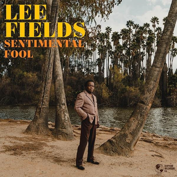 Lee Fields - Sentimental Fool LP Schallplatte auf Vinyl von Daptone Records, Soul und Funk, Grau/Mehrfarbig - Bild 1