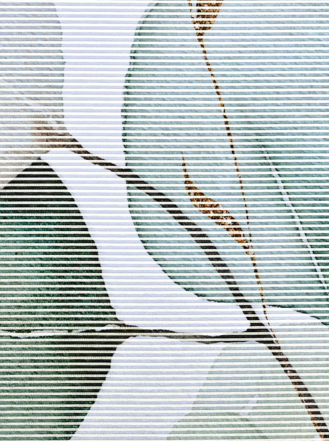 Schiebevorhang Heine Home mit Eukalyptus-Floral-Print, Weiß-Multicolor, Semi-transparent, 145 x 57 cm - Bild 1