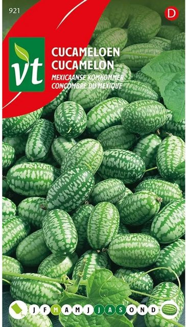 Arborix Mexikanische Minigurke Gemüsesamen für Garten und Zuhause mit ca. 15 Samen für kleine Früchte - Bild 1