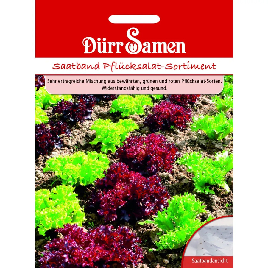 Dürr Pflücksalat-Sortiment Saatgut im Samen Saatband - Bild 2