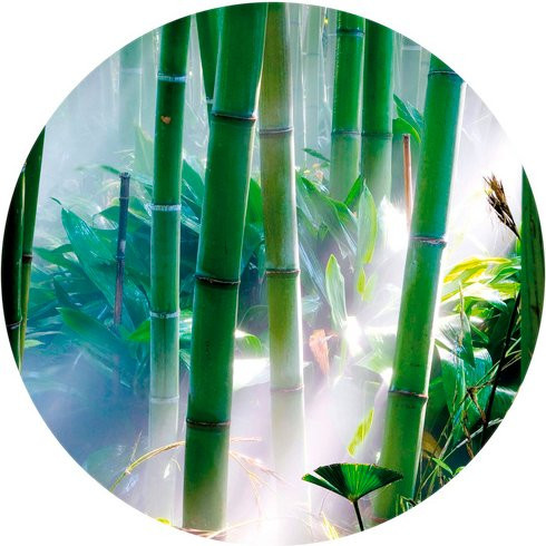 K&L Wall Art Runde Vliestapete Bambus Wald Feng Shui Deko, mehrfarbig, matt - Bild 1