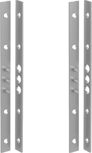 BASI Bändersicherung BS 280 mit 3 Zapfen und Schrauben, verzinkt, Farbe: Silber, 2er Set - Bild 1