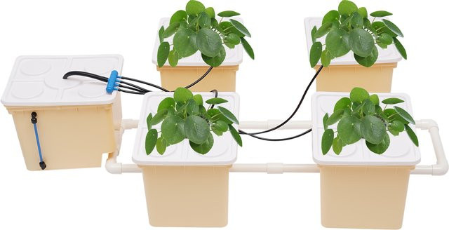 Hydroponisches Dutch Bucket Kit mit 5 Eimern und IPX8 Wasserpumpe, 11L DWC Anbausystem für Gemüse und Kräuter, Farbe: Weiß - Bild 1
