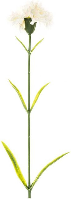 idee. künstliche Nelke in Weiß, Höhe: 60 cm - Bild 1