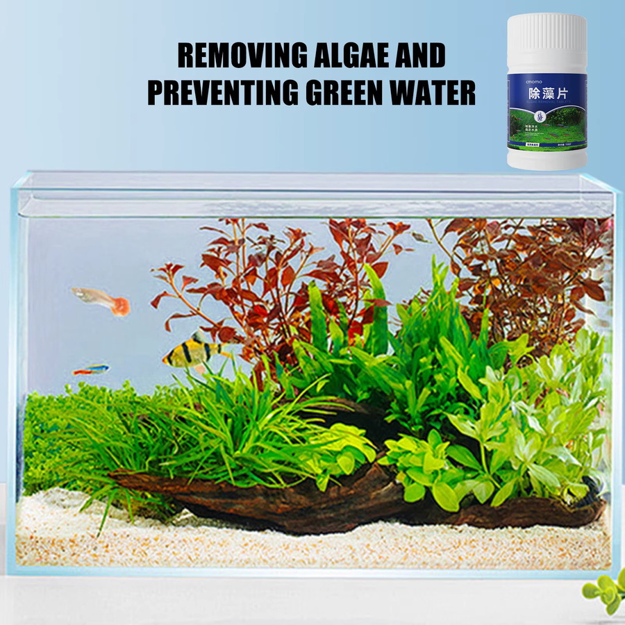 150 Algen-Reinigungstabletten zur Algenentfernung für Aquarium, Teich und Moos in Weiß - Bild 2