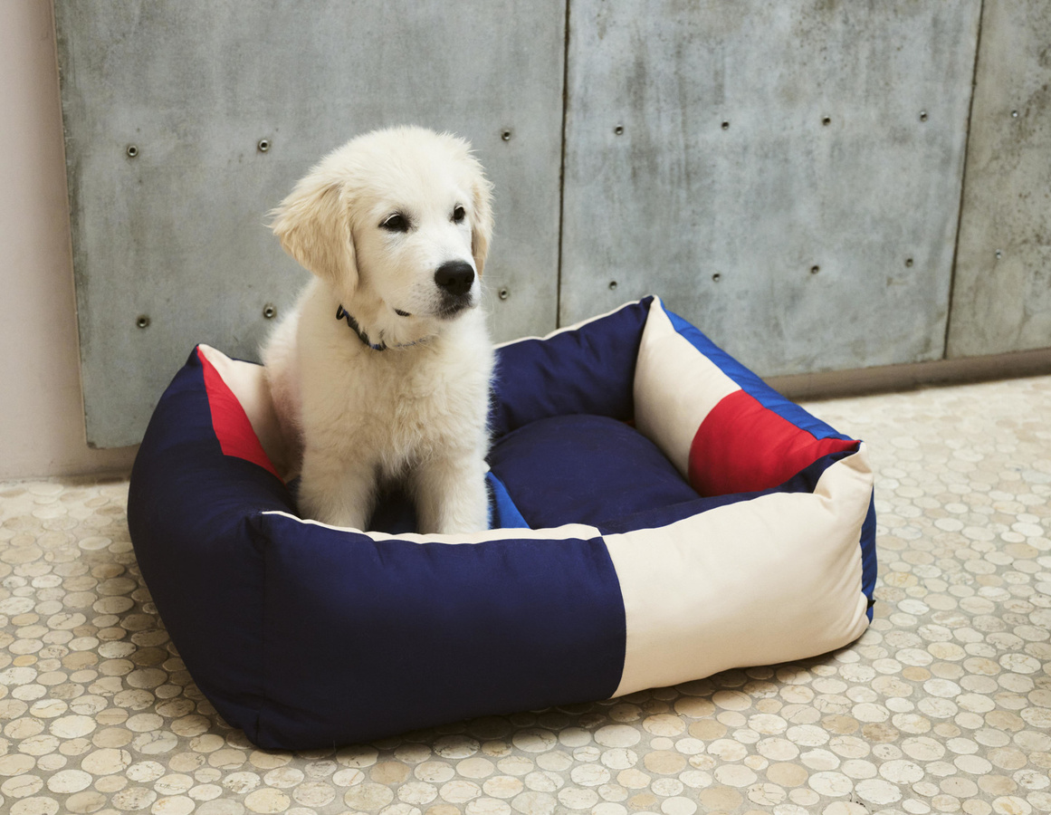 HAY Dogs Hundebett M mit erhöhtem Rand in Multicolour und abstraktem Design - Bild 2