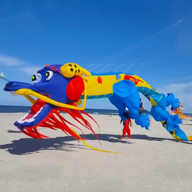 9KM DWLIFE Dragon Kite, aufblasbarer Showdrachen, bunt, Tiere - Bild 1