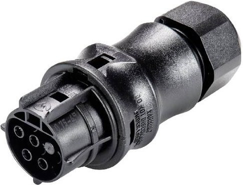 Wieland Electric X6.041.4153.1 Steckverbinder in Schwarz - Bild 1