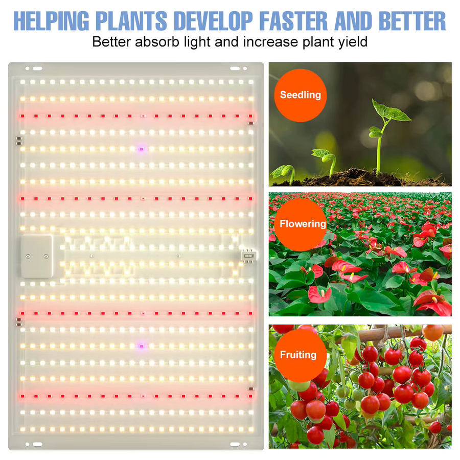 CanLing 300W Vollspektrum LED Pflanzenlampe Quantum Board zur Beleuchtung von Gemüse, Blumen und Obst - Bild 3