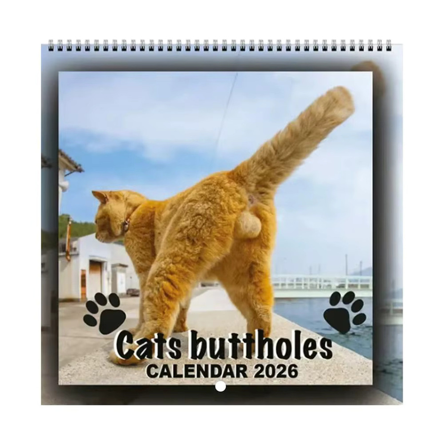 Wandkalender 2026 Katze Monatskalender mit 12 Monaten in Blau und Multicolour - Bild 7