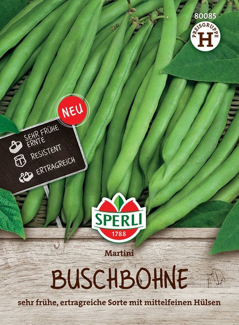 SPERLI Buschbohnen-Samen Martini - Bild 1