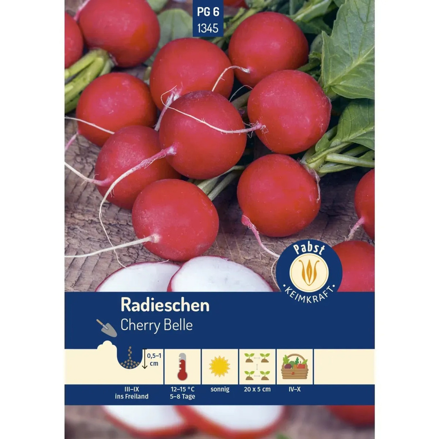 Pabst Keimkraft Radieschen Cherry Belle Saatgut raschwüchsig und mild 250 g - Bild 2