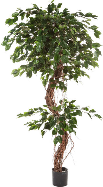 Künstlicher Ficus Baum von Aplanta Seraphius, Höhe: 180 cm - Bild 1