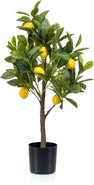Aplanta Künstlicher Zitronenbaum für den Tisch, Höhe: 72 cm, Breite: 35 cm - Bild 1