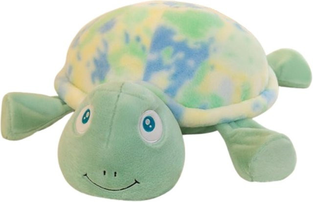 Discover Intime Regenbogen-Schildkröte, Plüsch, Grün, ab 0 Jahren - Bild 1