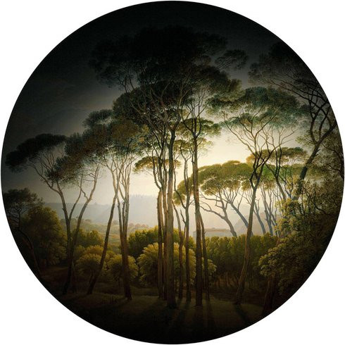 K&L Wall Art Vliestapete Runde Vliestapete Kiefern Wald Retro Landschaft mehrfarbig matt - Bild 1