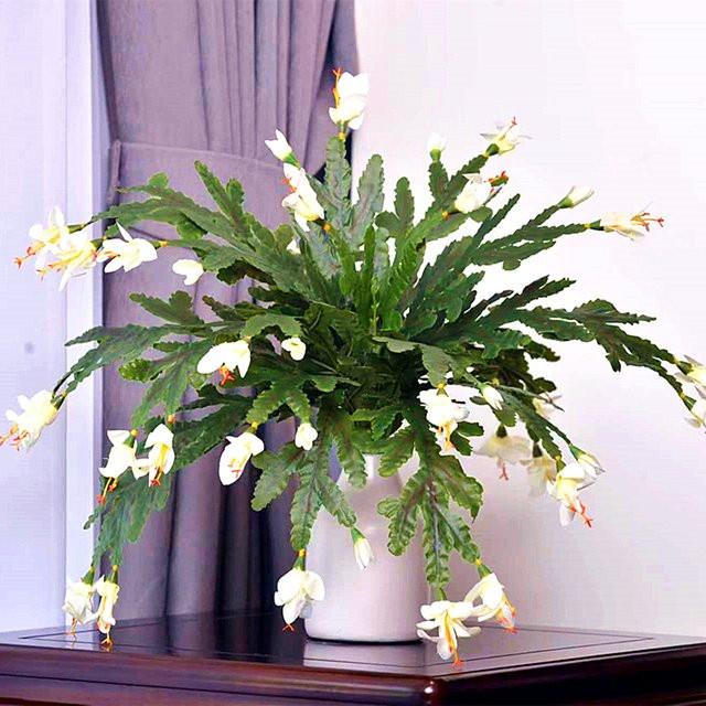 EQIANAO Künstliche Orchidee Phalaenopsis in Weiß, 50 cm Höhe - Bild 1