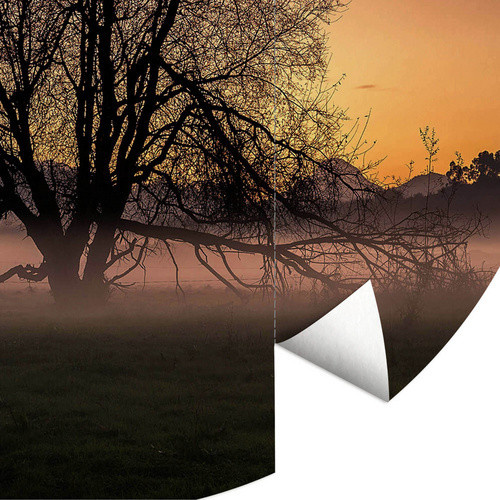 K&L Wall Art Vliestapete Cuadrado Nebel Baum des Lebens, runde Wandgestaltung in Mehrfarbig, matt, B/H: 153 x 140 cm - Bild 3