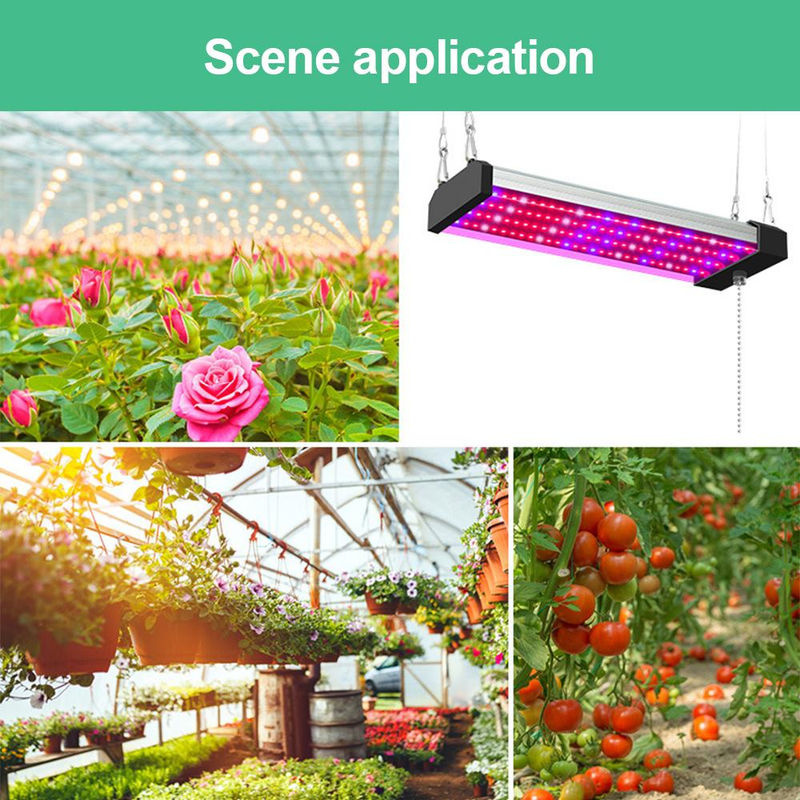 GoolRC LED-Wachstumslichter für Zimmerpflanzen, Vollspektrum mit 5000 K Tageslicht, Rot und Blau, verknüpfbar und höhenverstellbar, Farbe: Schwarz/Lila, Breite: 50 cm - Bild 7
