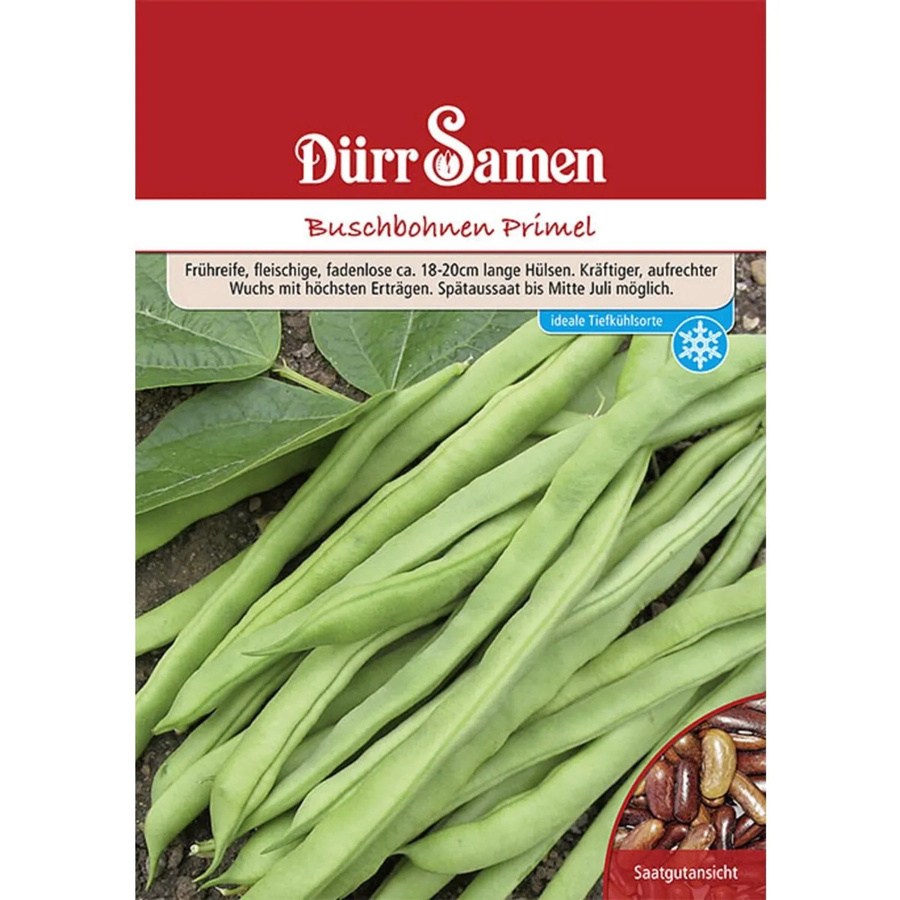 Dürr Buschbohnen Primel Saatgut 250 g - Bild 2