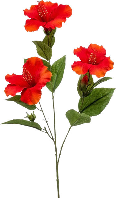 Künstlicher Hibiskus Zweig Tara von Aplanta, Höhe: 82 cm - Bild 1