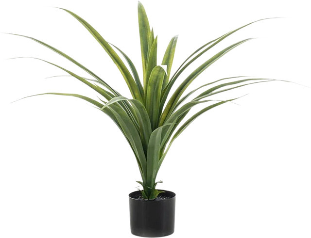 Künstlicher Drachenbaum Sisu von Aplanta, Höhe: 80 cm - Bild 1